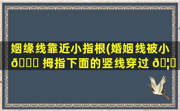 姻缘线靠近小指根(婚姻线被小 🐟 拇指下面的竖线穿过 🦟 了)